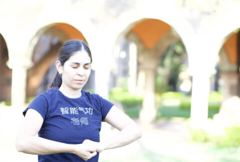 Sonidos de los órganos